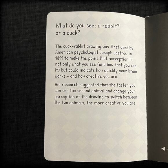 The Original Creative Thinking Journal: Please Use the Journal While High - Picture 11 of 12